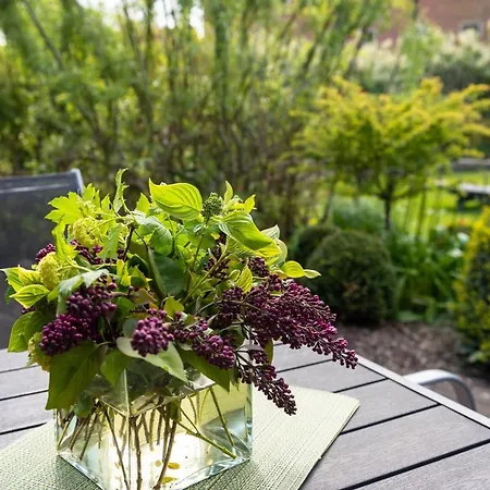 Apartman Backhaus-wohnung-3 *