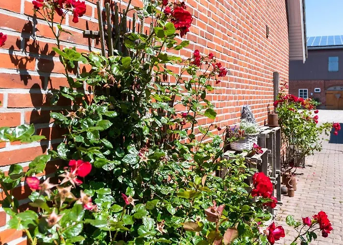 Backhaus-wohnung-3 * Bojendorf